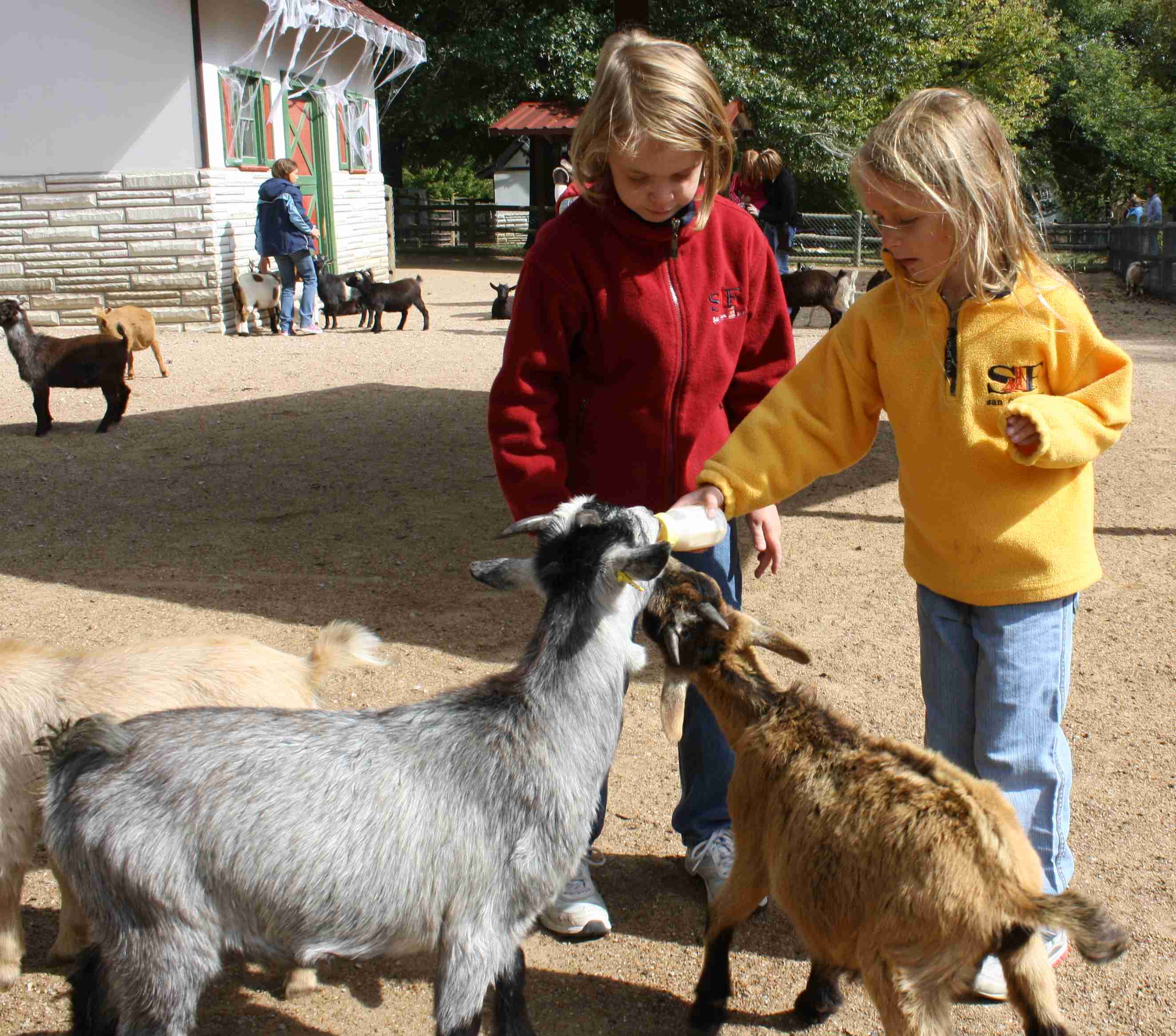 2009-10-11 Grants Farm JC feed the goats.jpg
